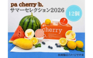 【PB06S】pa cherry b．サマーセレクション2026ジェラート12個セット