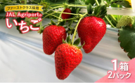 [№5904-0670]【先行予約】JALの直営農園からお届け ファーストクラス採用の「JAL Agriportのいちご」1箱 2パック いちごイチゴ 朝採り ファーストクラス 機内食 成田市 千葉県