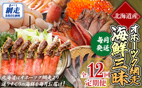 毎月お届け（全12回） オホーツク網走 海鮮三昧定期便 ABE107 2167199 - 北海道網走市