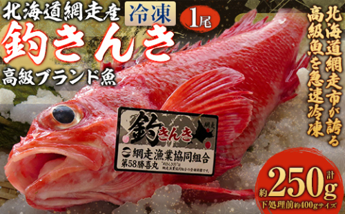 【網走産】高級ブランド釣きんき 1尾【冷凍】（2025年5月15日より順次発送） ABJ013 2167204 - 北海道網走市