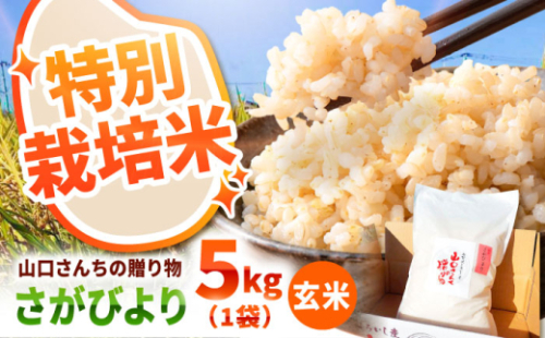 【先行予約 2026年11月～発送】 令和8年産  特別栽培米 さがびより（玄米） 5kg【y'scompany】 米 5kg  玄米 特A 特A評価  佐賀県産 国産米 コメ こめ お米 ブランド米 おにぎり さがびより 九州 佐賀県 白石町 人気 白石  令和8年発送[IAS021] 2167329 - 佐賀県白石町