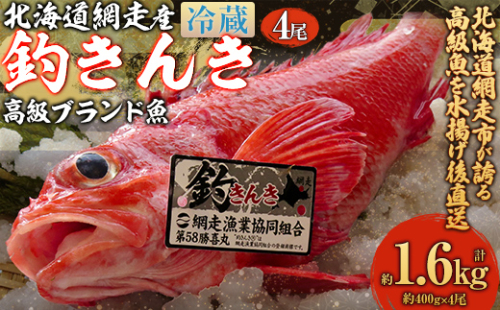 【網走産】高級ブランド釣きんき 4尾【冷蔵】（2025年5月15日より順次発送） ABJ018 2167334 - 北海道網走市
