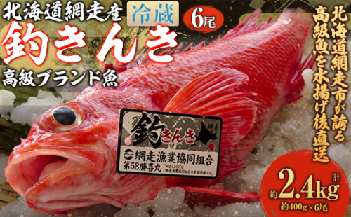 【網走産】高級ブランド釣きんき 6尾【冷蔵】（2025年5月15日より順次発送） ABJ019 2167335 - 北海道網走市