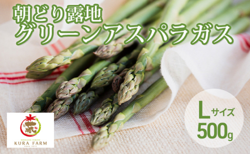 【2027年5月より発送】北海道 富良野市産 アスパラ 緑 約500g (15～23本前後) 朝どり 露地 グリーン アスパラガス 詰め合わせ 野菜 新鮮 数量限定 先着順【藏ファーム】 2167338 - 北海道富良野市