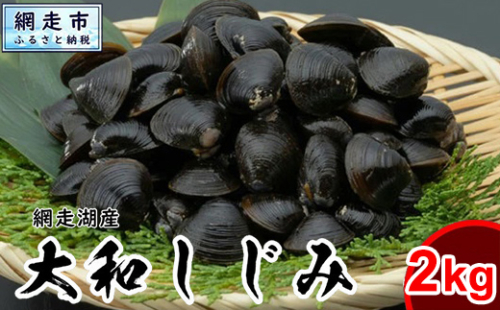 網走湖産 天然大粒 大和しじみ 2.0kg ※着日指定不可 ABX073 2167376 - 北海道網走市