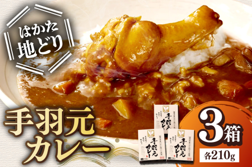 はかた地どり 手羽元カレー【A-861】 2167386 - 福岡県飯塚市