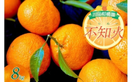 【2026年2月中旬～発送】川田柑橘園 呉市大長産 「不知火（しらぬい）」８kg ku055-013-25