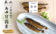 千葉北総のあゆ甘露煮14尾入り  KTRQ002