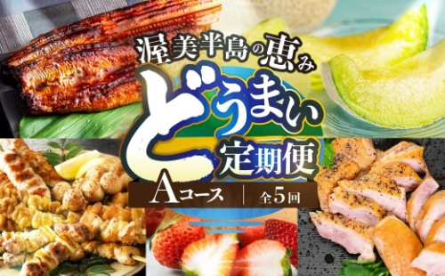 渥美半島の恵み どうまい 定期便 5回 Aコース （ いちご 焼き鳥 うなぎ メロン 豚肉 ハム ) 青うなぎ 名古屋コーチン マスクメロン ご当地 人気 頒布会