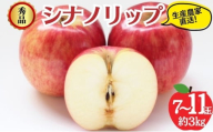 シナノリップ 秀品 約3kg 7～11玉 りんご 果物 信州 長野