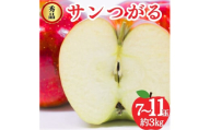 サンつがる 秀品 約3kg 7～11玉 りんご 果物 信州 長野