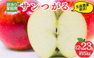 サンつがる 訳あり家庭用 約5kg 12～23玉 りんご 果物 訳あり 信州 長野