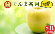 ぐんま名月 秀品 約3kg 7～11玉 りんご 果物 信州 長野