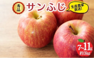 サンふじ 秀品 約3kg 7～11玉 りんご ふじ 果物 信州 長野