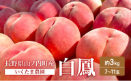 桃　白鳳　約3kg もも フルーツ 果物 お取り寄せ 長野県 山ノ内町