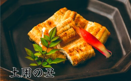 【土用丑の日（二の丑）：2025】予約受付中≪7月31日までにお届け≫田野町産うなぎの白焼き 2尾（冷凍）　ウナギ 鰻 しらやき 国産 無頭 冷凍 2167751 - 高知県田野町