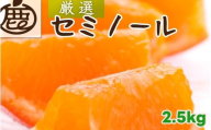 セミノール オレンジ 厳選 2.5kg+250g（痛み補償分） 光センサー / みかん 甘い 高級 柑橘 晩柑 和歌山 有田 ※4月上旬～6月下旬ごろに順次発送 ※北海道・沖縄・離島への配送不可 【ikd016-p-2d5】
