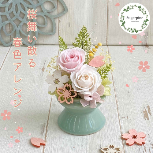プリザーブドフラワー　舞桜（まお）　春日部市　シュガーパイン（AJ248） 2168187 - 埼玉県春日部市