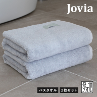 Jovia ジョヴィア バスタオル 2枚（アイスグレー）【日本製 泉州タオル 吸水 日用品 たおる ロングヘア】 G2789