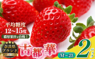 平群の古都華 サイズおまかせ（M～2Lサイズ）1ケース （2パック） |  先行予約 フルーツ 果物 くだもの ブランド いちご 苺  古都華 ことか 品種 特徴 糖度 ルビー色 旬 ふるさと納税 奈良県 平群 町