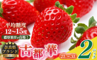 平群の古都華 2L～3Lサイズ 1ケース （2パック） |  先行予約 フルーツ 果物 くだもの ブランド いちご 苺  古都華 ことか 品種 特徴 糖度 ルビー色 旬 ふるさと納税 奈良県 平群 町