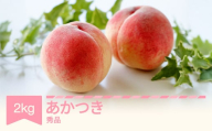 【先行予約】 もも 桃 あかつき 約2kg 令和七年産 2025年産 果物 ※沖縄・離島への配送不可 si-moatx2
