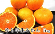 【2025年10月上旬より順次発送】甘みと酸味がギュッ　ゆら早生みかん5kg◆