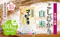 ＜令和7年産米先行受付＞ 真室川町産 こしひかり 【白米】 定期便 30kg （5kg×1ヶ月間隔で6回お届け）＜配送時期指定可＞