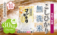 ＜令和7年産米先行受付＞ 真室川町産 こしひかり 【無洗米】 定期便 30kg （5kg×1ヶ月間隔で6回お届け）＜配送時期指定可＞