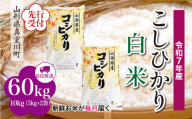 ＜令和7年産米先行受付＞ 真室川町産 こしひかり 【白米】 定期便 60kg （10kg×1ヶ月間隔で6回お届け）＜配送時期指定可＞