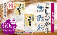 ＜令和7年産米先行受付＞ 真室川町産 こしひかり 【無洗米】 定期便 60kg （10kg×1ヶ月間隔で6回お届け）＜配送時期指定可＞