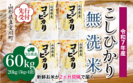 ＜令和7年産米先行受付＞ 真室川町産 こしひかり 【無洗米】 定期便 60kg （20kg×2ヶ月間隔で3回お届け）＜配送時期指定可＞