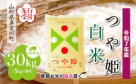 ＜令和7年産米先行受付＞ 真室川町産 特別栽培米 つや姫 【白米】 定期便 30kg （5kg×1ヶ月間隔で6回お届け）＜配送時期指定可＞
