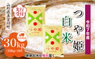 ＜令和7年産米先行受付＞ 真室川町産 特別栽培米 つや姫 【白米】 定期便 30kg （10kg×1ヶ月間隔で3回お届け）＜配送時期指定可＞