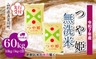 ＜令和7年産米先行受付＞ 真室川町産 特別栽培米 つや姫 【無洗米】 定期便 60kg （10kg×1ヶ月間隔で6回お届け）＜配送時期指定可＞