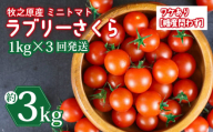 訳あり ミニ トマト フルーツ トマト ラブリーさくら うまたま 予約 受付 1kg × 3回 発送 計 3kg 選べる 容量 発送 回数 国産 野菜 フルーツ 甘い 静岡県 牧之原市 山本農園