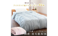 羽毛布団 羽毛 掛け布団 色（ブルー） アイダーダウン95% 0.3kg入り 羽毛肌掛け布団 シングルロング 夏掛け布団 布団カバー 布団干し 羽毛布団