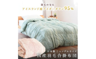羽毛ふとん 羽毛 掛け布団 色（ブルー） アイダーダウン95% 0.5kg入り 羽毛合掛け布団 シングルロング 夏掛け布団 布団カバー 布団干し 羽毛布団
