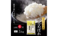 【先行予約/6ヶ月連続定期便】令和7年産新米 ひとめぼれ 5kg×6回 米 岩沼産 お米 白米 無洗米 ブランド米 単一原料米 5キロ こめ コメ おこめ ご飯 ライス 東北 宮城県産 宮城県産ひとめぼれ 宮城米[№5704-1218]