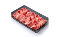 ＜食通の静岡牛＞ 肩ローススライス　500g　すき焼き・しゃぶしゃぶ 和牛 ブランド牛【1637182】
