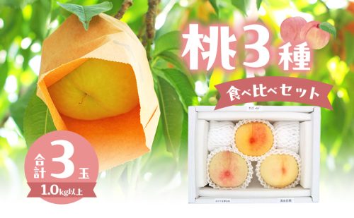 桃 2025年 数量限定 桃3種食べ比べセット 3種×各1玉 計1.0kg以上 岡山県 赤磐市産 2168981 - 岡山県赤磐市