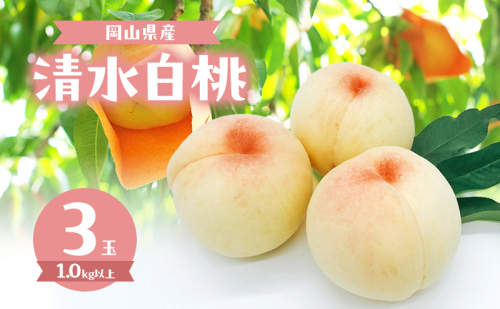 桃 2025年 数量限定 清水白桃 3玉 計1.0kg以上 岡山県 赤磐市産 2168983 - 岡山県赤磐市