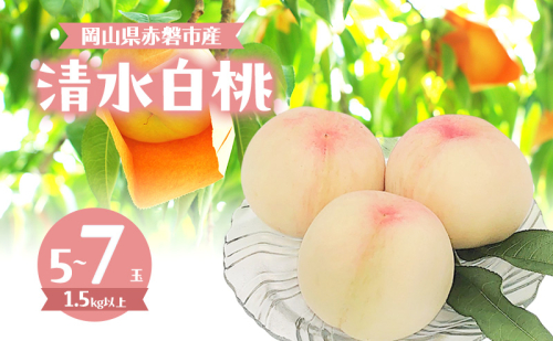 桃 2026年 数量限定 清水白桃 5～7玉 計1.5kg以上 岡山県 赤磐市産 2168984 - 岡山県赤磐市