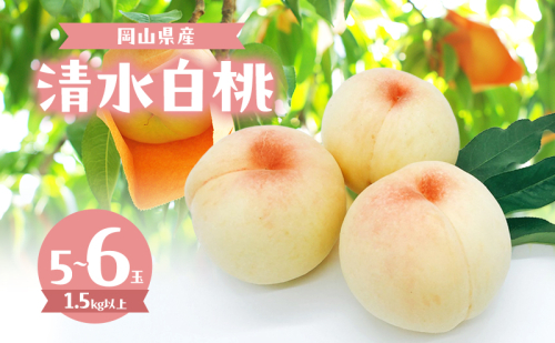 桃 2025年 数量限定 清水白桃 5~6玉 計1.5kg以上 岡山県 赤磐市産 2168984 - 岡山県赤磐市