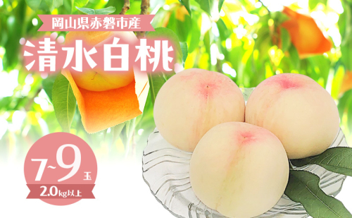 桃 2026年 数量限定 清水白桃 7～9玉 計2.0kg以上 岡山県 赤磐市産 2168985 - 岡山県赤磐市