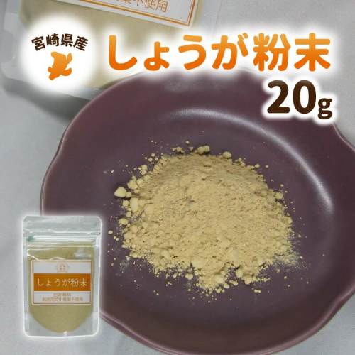 しょうが 粉末 N048-YA0494 2169005 - 宮崎県延岡市