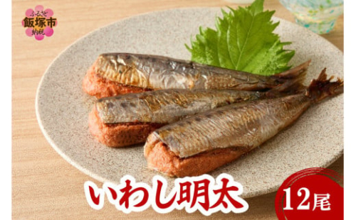 いわし明太 12尾【A8-077】 2169028 - 福岡県飯塚市