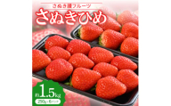 「さぬき讃フルーツ」さぬきひめ 　約1.5kg(250g×6パック)＜令和8年1～3月発送＞【1608474】