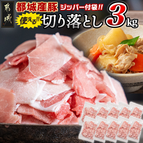 都城産豚切り落とし3kg(ジッパー付袋入り)_13-1510 2169147 - 宮崎県都城市