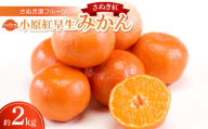 さぬき讃フルーツ「ハウス小原紅早生みかん(さぬき紅)」約2kg＜令和8年7～8月発送＞【1609816】